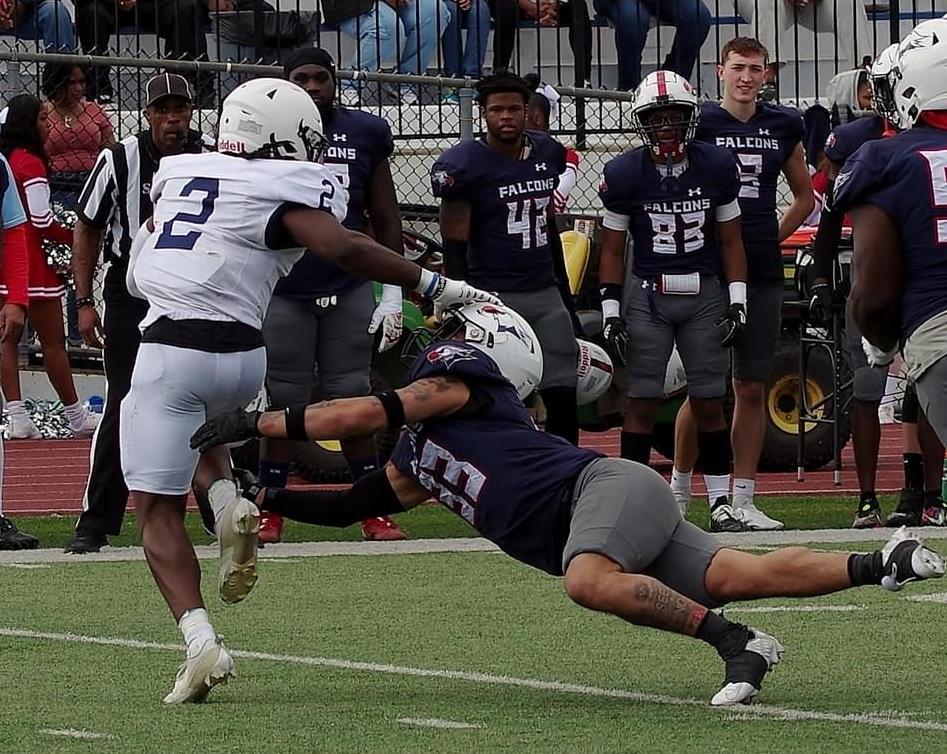 Falcons Hand Skylanders First Defeat, 59-24