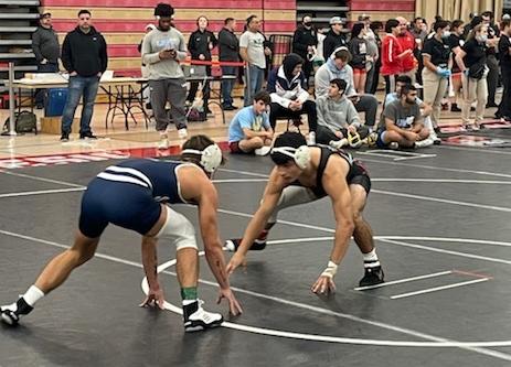 Sussex at Nationals